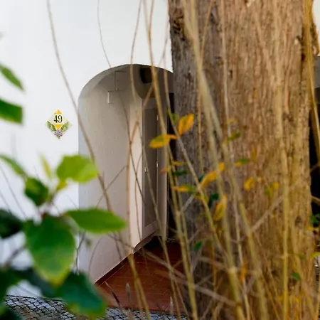 The Concierge - Sao Rafael 아파트